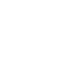 No Name — TikTok